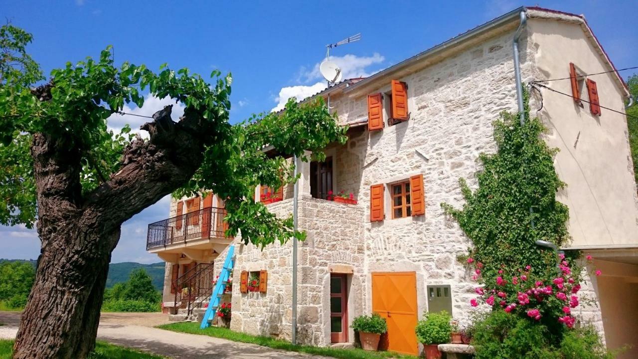 Villa Angela E Giovanni Vizinada Ngoại thất bức ảnh
